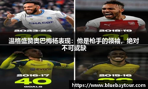 boyu博鱼官方app