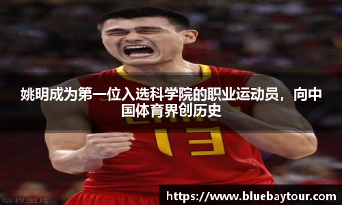 博鱼