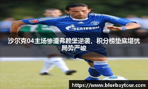 boyu博鱼官方app