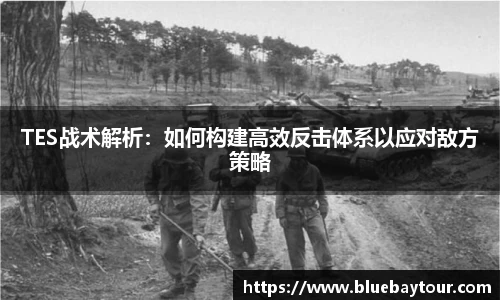 TES战术解析：如何构建高效反击体系以应对敌方策略
