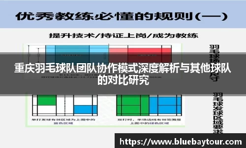 重庆羽毛球队团队协作模式深度解析与其他球队的对比研究