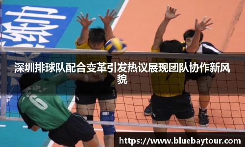 boyu博鱼官方app