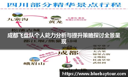 成都飞盘队个人能力分析与提升策略探讨全景呈现