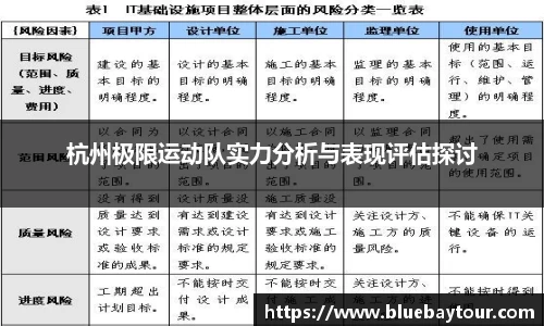 杭州极限运动队实力分析与表现评估探讨