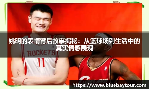 博鱼官方网站