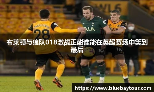 布莱顿与狼队018激战正酣谁能在英超赛场中笑到最后