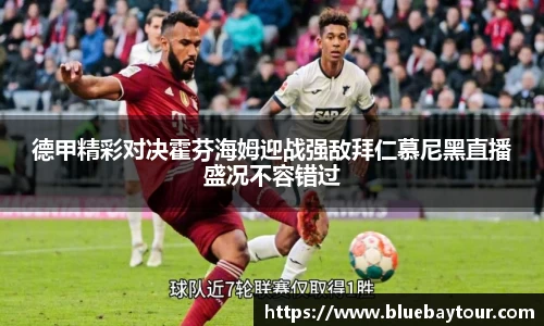 boyu博鱼官方app