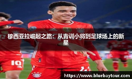 boyu博鱼官方app