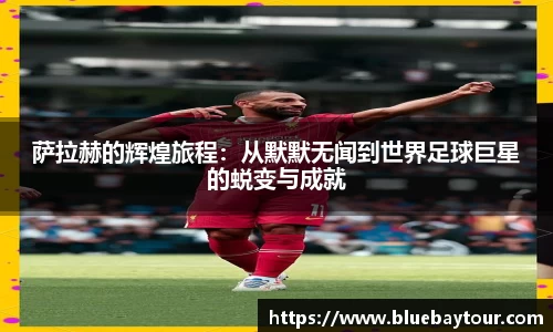 boyu博鱼体育官网